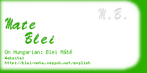 mate blei business card