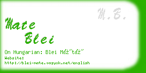 mate blei business card
